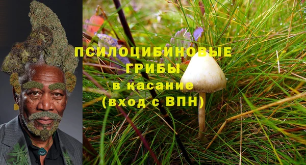 стафф Алексеевка