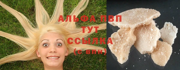 твердый Алексин