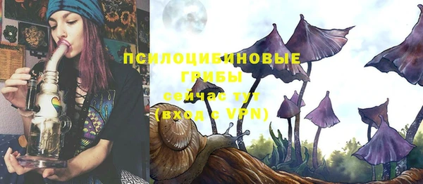 стафф Алексеевка