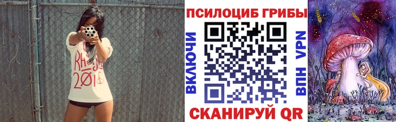 Псилоцибиновые грибы мицелий  OMG tor  Мичуринск 